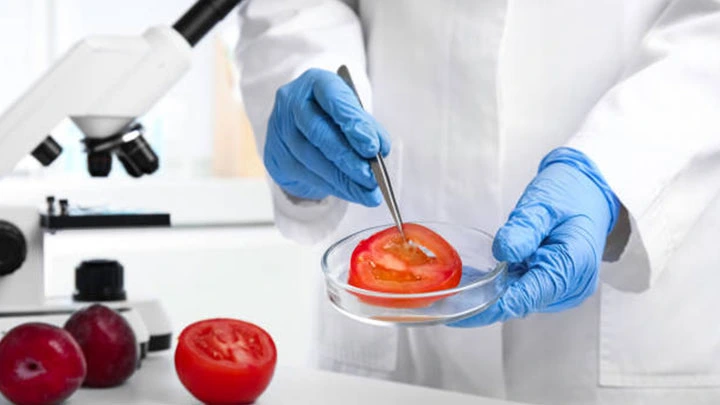 Trusted Food Testing Laboratory for Microbiology, Residue & Chemical Analysis
