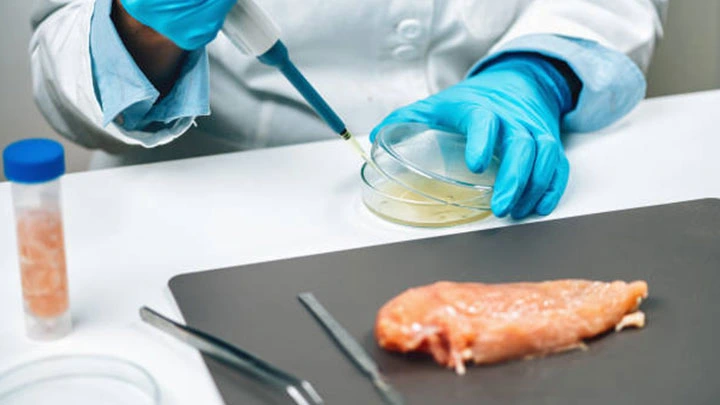 Meat, Poultry and Eggs