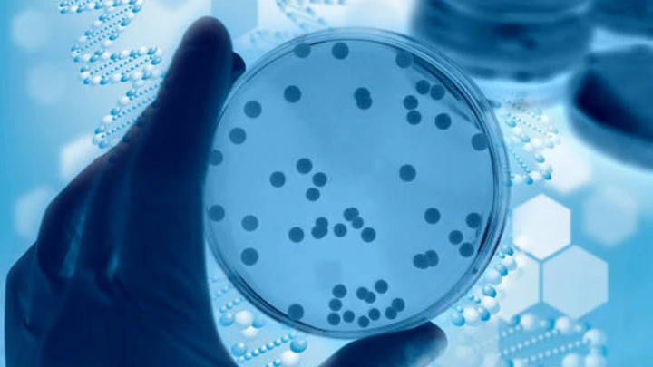 Comprehensive Environmental Testing Services for Water, Soil, Air & Effluents